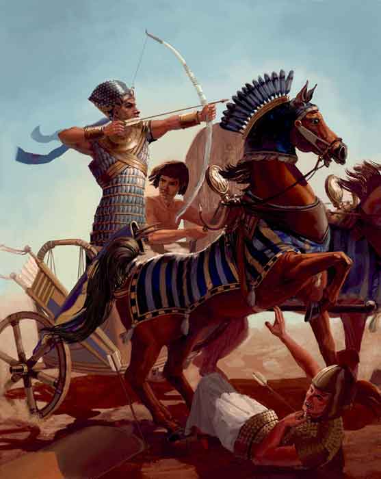 Navigator of Ramses